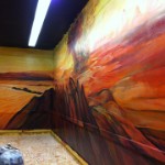Mars Mural 24  Acrylic &#38;nbsp;&#38;nbsp;&#38;nbsp; 2016 &#38;nbsp;&#38;nbsp;&#38;nbsp; 122&#39; x 10&#39;