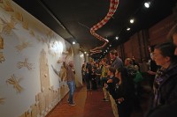 Brilliant Solutions 03